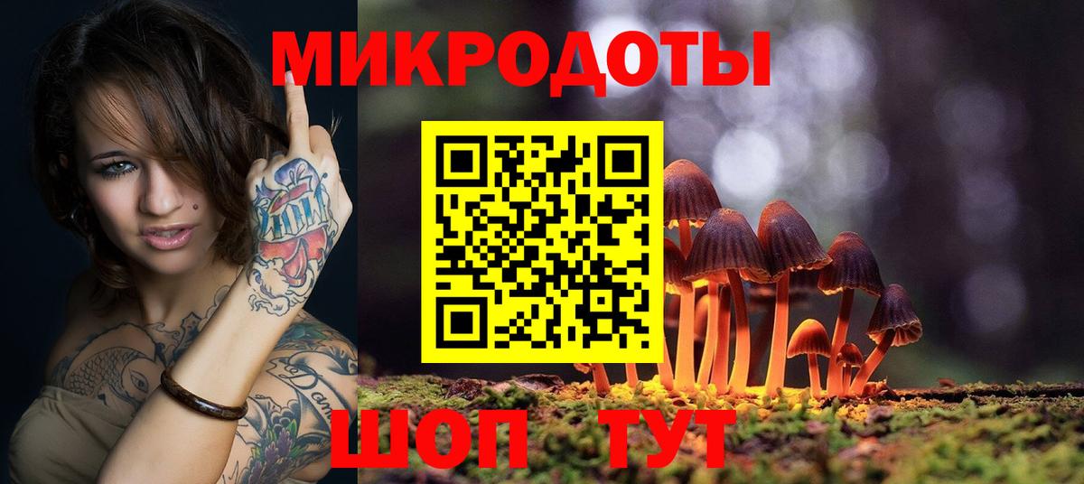 Дмитров  Галлюциногенные грибы Psilocybe  Вход с VPN 